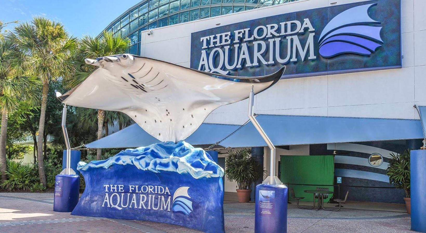 1Br Oasis In Downtown Tampa W Balcony & City Views エクステリア 写真